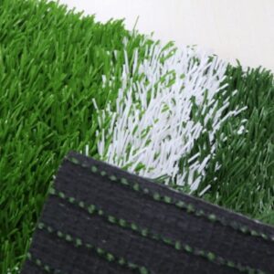 Sport Grass